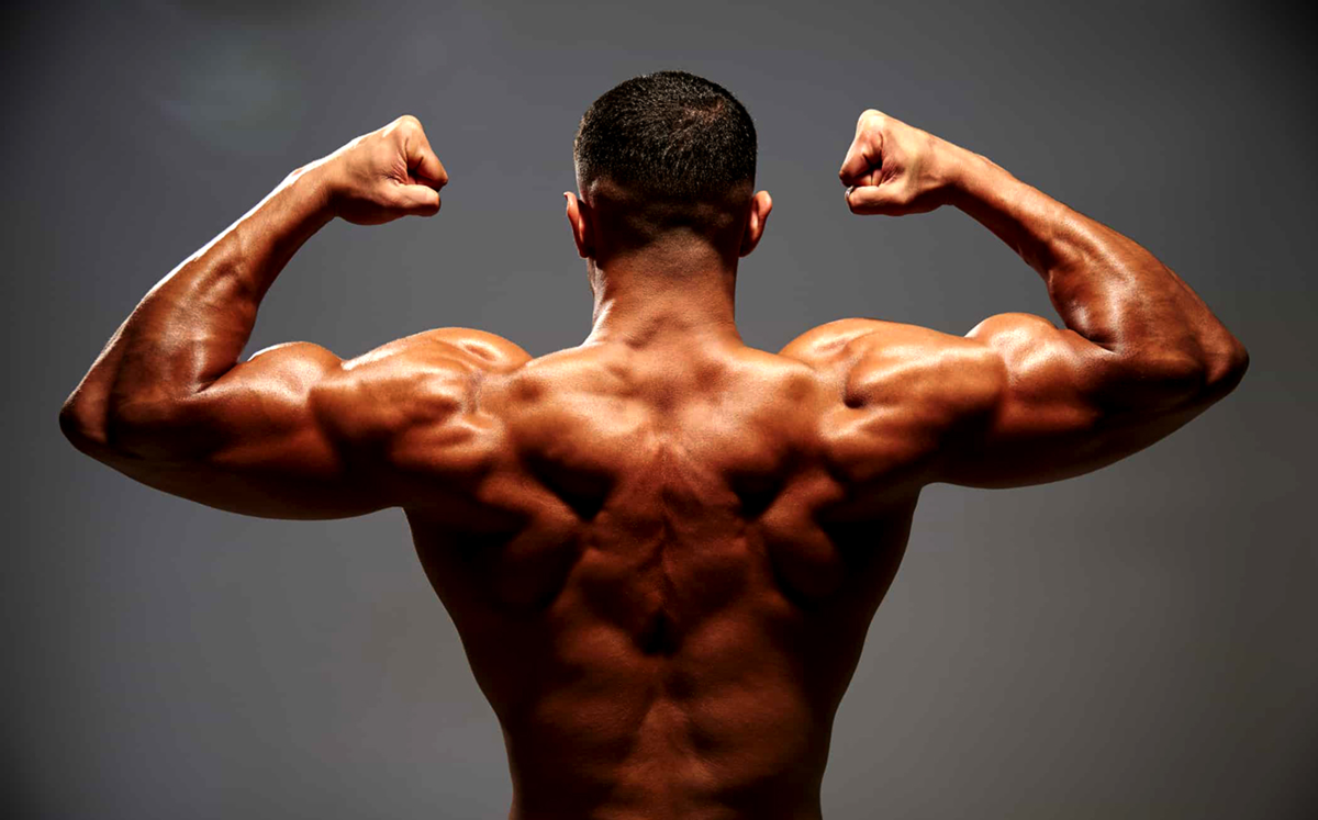 Преимущества нандролона для суставов и связок спортсменов